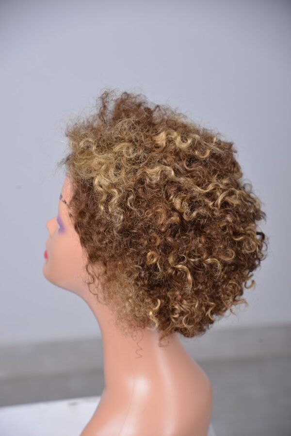 Pixie Cut Human Hair Wig