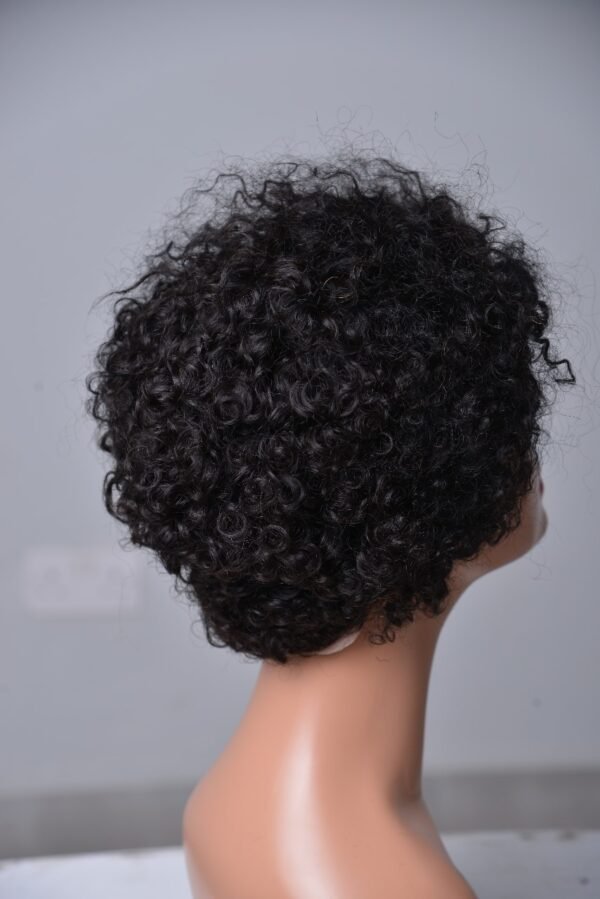 Pixie Cut Human Hair Wig Black