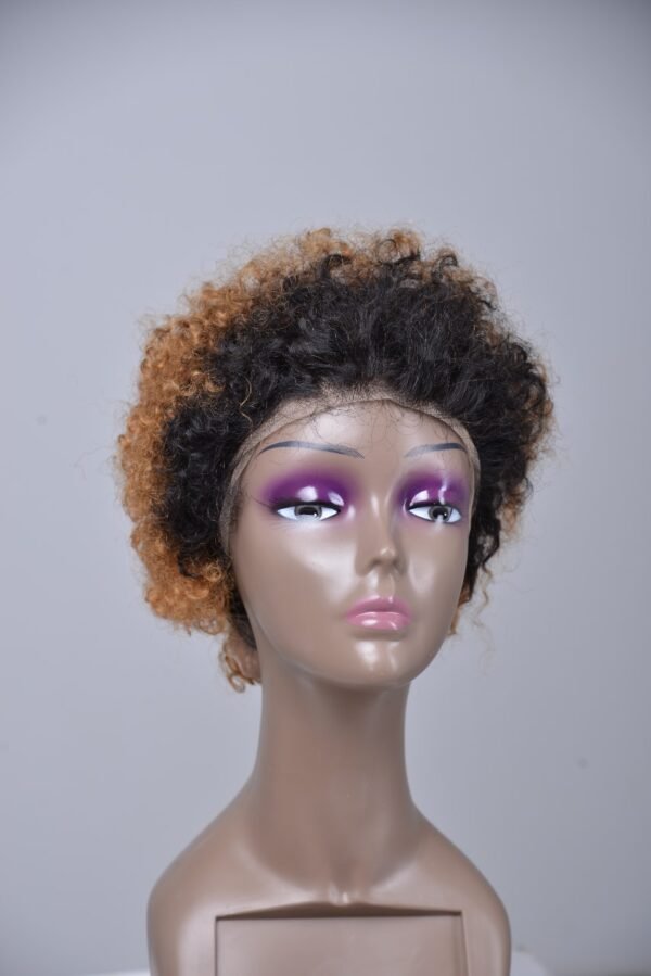 Pixie Cut Two Colored Human Hair Wig