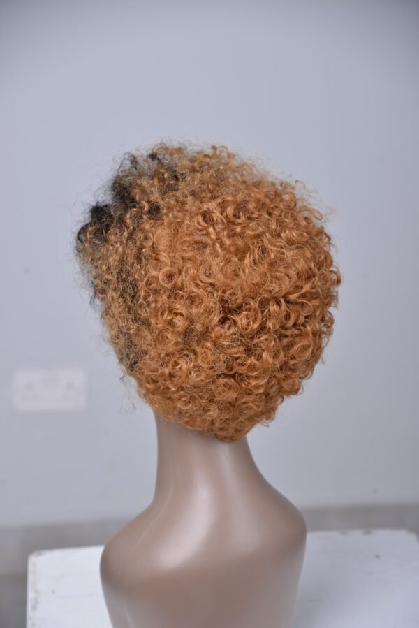 Pixie Cut Two Colored Human Hair Wig