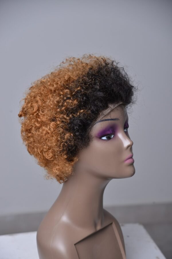 Pixie Cut Two Colored Human Hair Wig